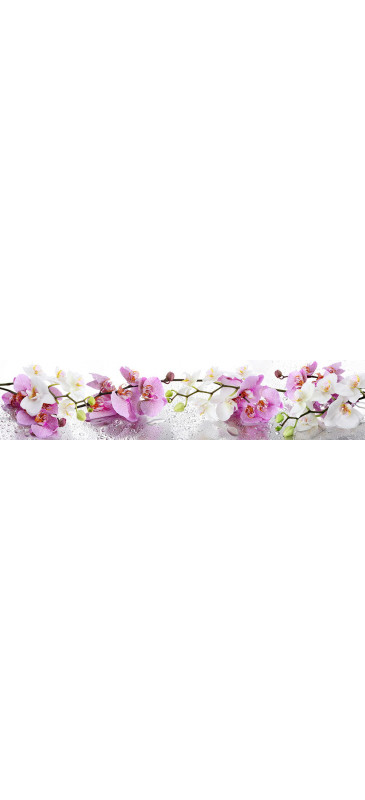 Стеновая понель (кухонный фартук) Орхидея - фото